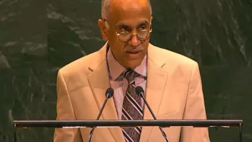 'No solution on battlefield': India raises Ukraine conflict at UN; points to 'collateral consequences'