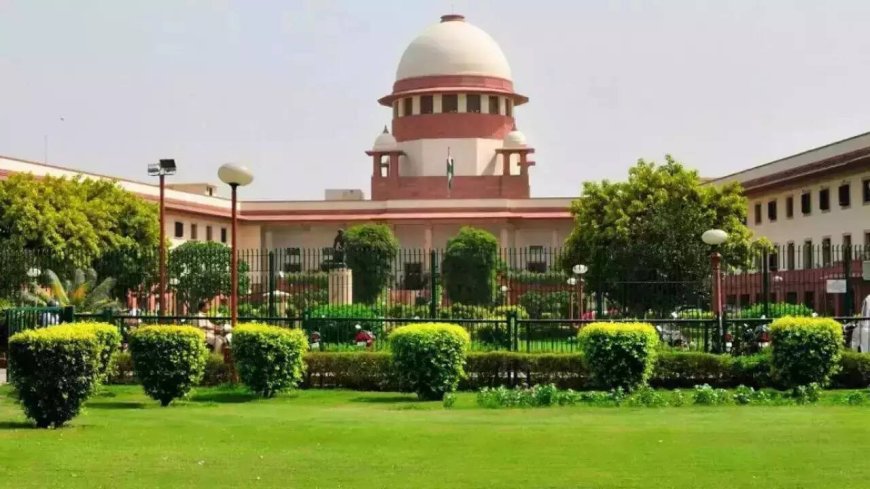 'You'll clean it in 2 hours if a dignitary comes': SC raps MCD on 'Gumti of Shaikh Ali'; seeks report by Sept 18