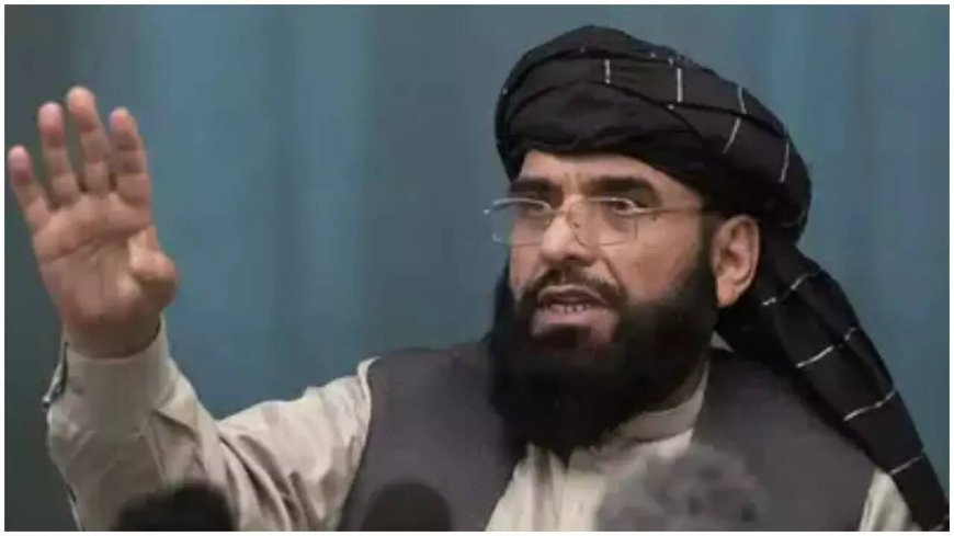 Taliban back upgrade in ties as India explores ministerial visit