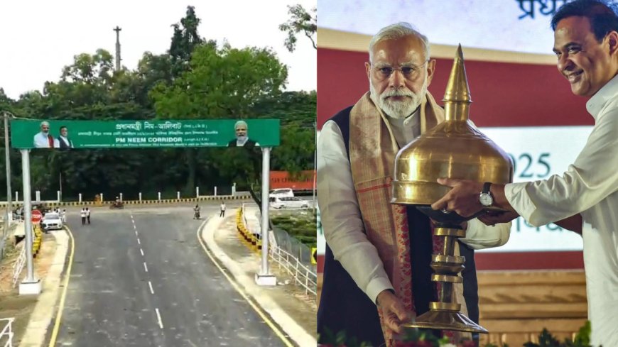 PM Modi to inaugurate 'PM Neem Corridor': 2.6-km stretch in Assam's Golaghat - Know all about it