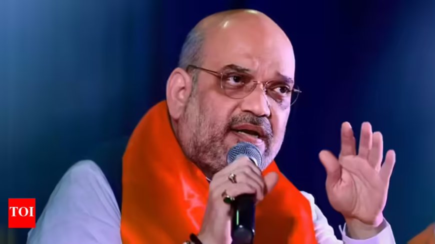 Shah pitches for Hindi beyond admin, seeks its adoption in science, tech, law & policing