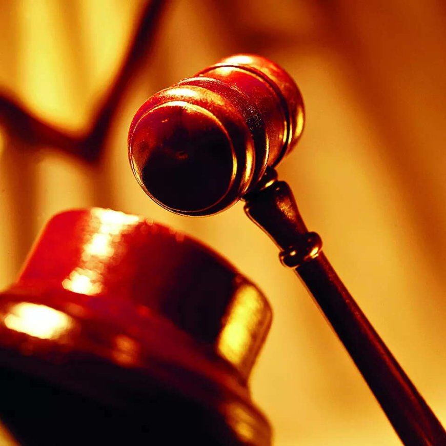 Cases can't be shifted out of PMLA court: HC