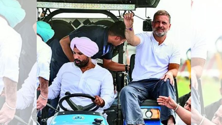 6 days after PM's tour, Rahul visits flood-hit Punjab