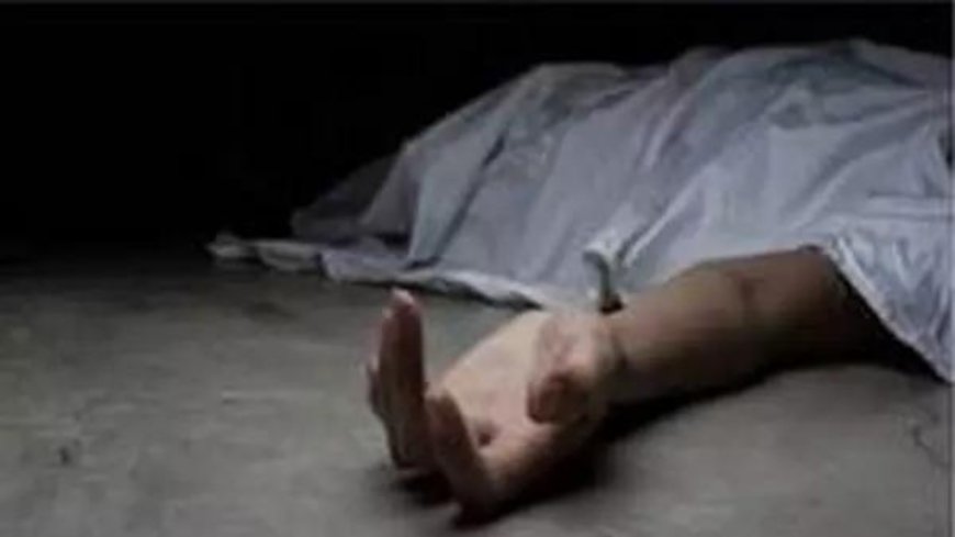 Sanitation worker dies in bid to save 1 from manhole