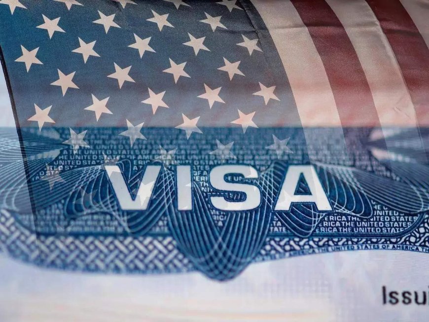 Fentanyl threat: US denies visas to 'certain execs'