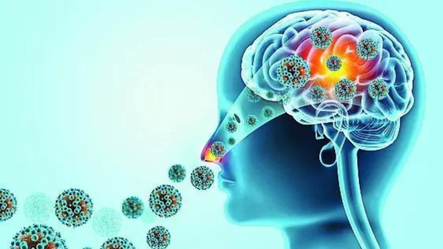 This killer stalking Kerala attacks through the nose