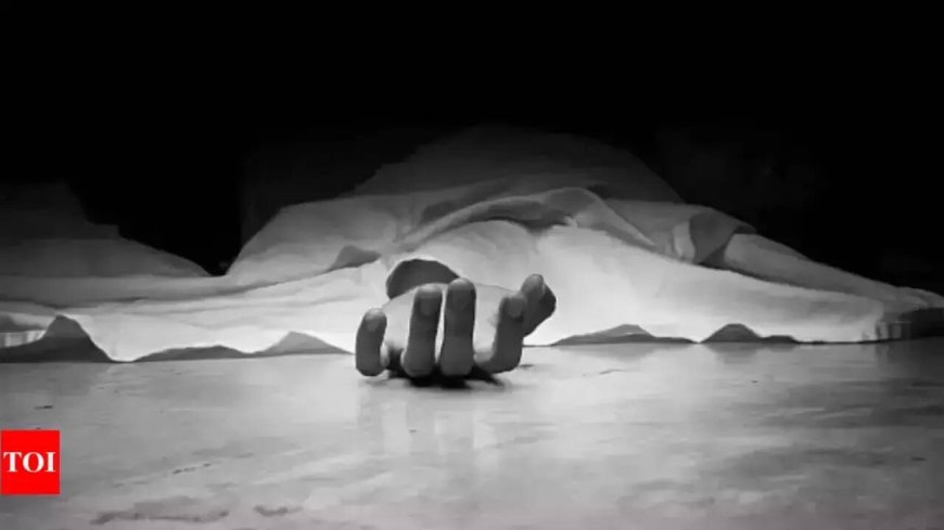 J&K: Soldier dies in Udhampur after gunshot; probe under way
