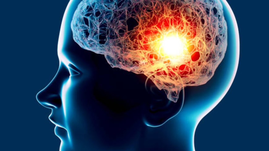 Brain-eating amoeba: Kerala reports 80 cases; 21 dead; state minister says cause of encephalitis cases still unknown