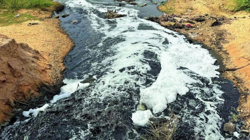 SC to pass order in bid to save polluted Rajasthan river that impacts 2 million lives