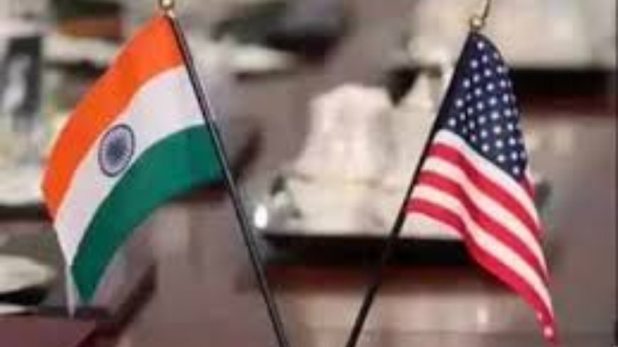Parliamentary panel flags diaspora 'silence' on US adversarial moves