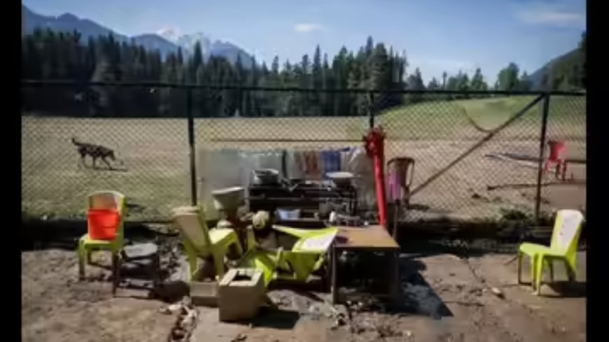 J&K man arrested for helping Pahalgam terrorists