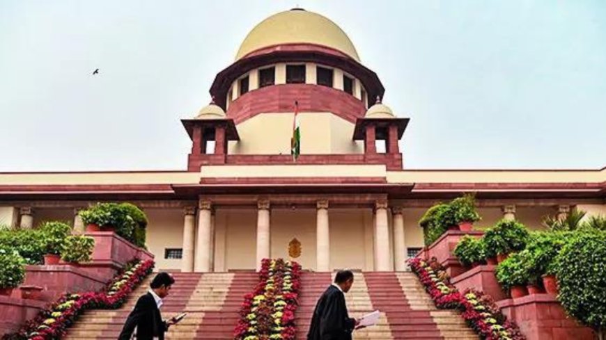 No data to contrary, lower age of consent, says amicus