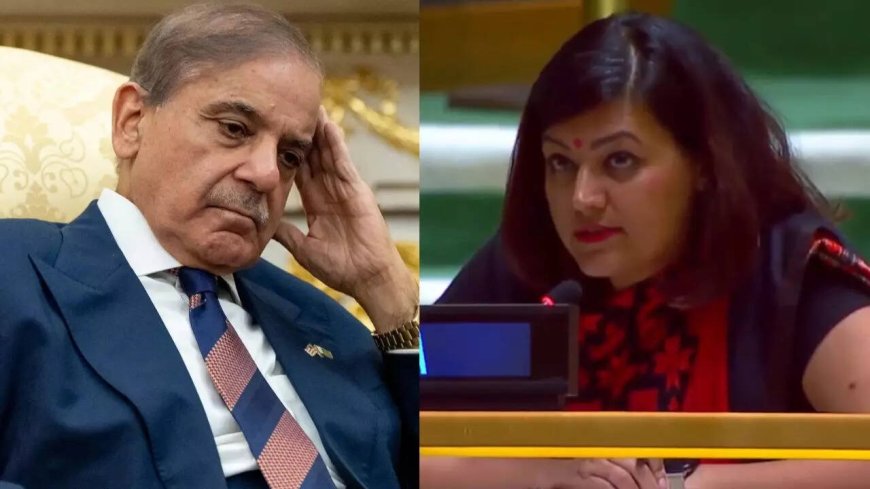 'No degree of drama can conceal facts': India responds to Pakistan PM Shehbaz Sharif's remarks at UN; slams 'absurd theatrics'