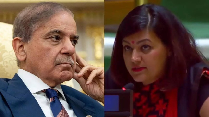'If destroyed runways look like victory... ': India rejects Shehbaz Shariff's 'bizarre' claims at UN; asks Pak to handover terrorists