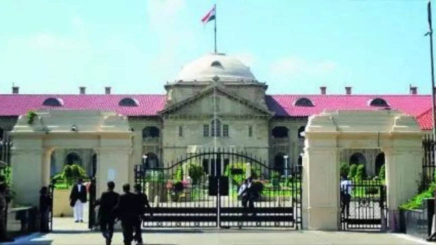 Record 24 judges picked for Allahabad HC in one go