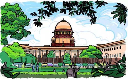 SC nixes plea on clubbing of FIRs in different states against those duping investors
