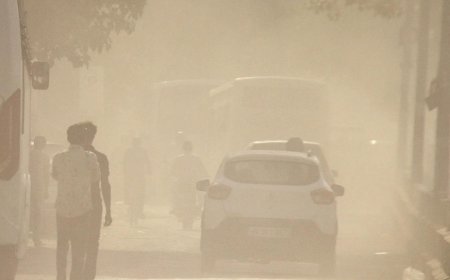 Environment-related offences increased by 30%, tobacco-linked crimes dominate the green violation figures in 2023