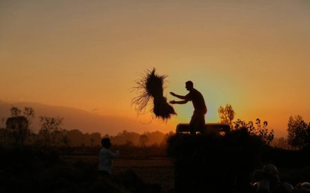 10,786 farmers and agri labourers committed suicide in India in 2023, Maharashtra reports the highest 38% of them followed by Karnataka at 22% : NCRB