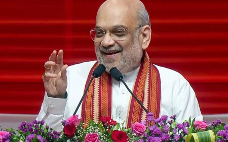 'Proud swayamsevak' Amit Shah lauds RSS for 'nation-building', shaping leaders