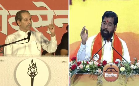 'Attempts made to break Shiv Sena': Uddhav Thackeray's veiled jab at Eknath Shinde; calls BJP 'amoeba'