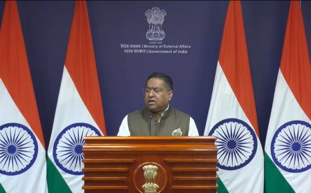 PoK unrest: India flays Pak's 'oppressive approach'; flags 'horrific' violations, plundering of resources