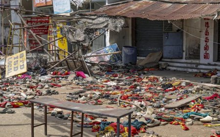 Karur stampede: SIT formed, rallies halted; what Madras HC said on CBI probe demand