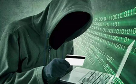 Illegal trading platform made Rs 800cr profit in India in just 9 months