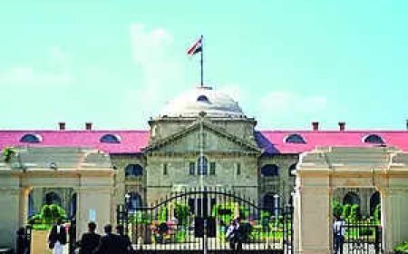 'Forwarding pro-Pak message not sedition': Allahabad high court grants bail to man