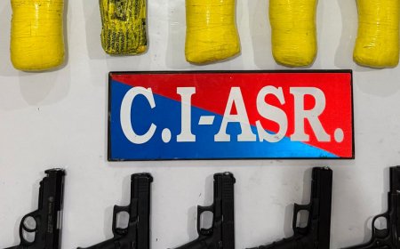 Pakistan-linked ring busted: Punjab police dismantles arms and drug smuggling network; 2 arrested