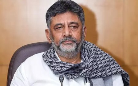 'Don't ask about chicken, fridge': DKS on Karnataka caste survey; asks officials to avoid personal queries