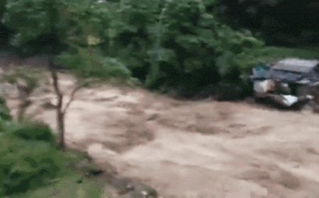 Darjeeling landslides: Homes, bridge, roads, tea gardens washed out — scary visuals from West Bengal rain havoc emerge