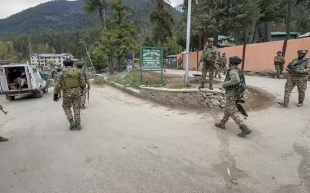 ‘Met terrorists four times’: Aide arrested in Pahalgam attack provided logistics; guided through hills