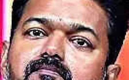Karur Stampede: After Madras high court rap, rash driving FIR slapped on Vijay's driver