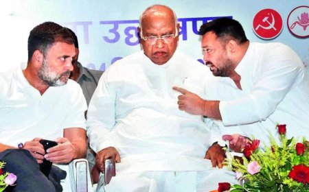 Bihar polls will test opposition's resilience at national level