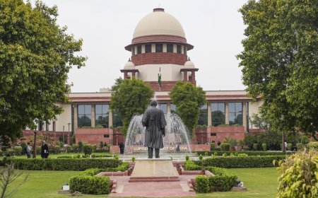 'Targets, vilifies and demonises Muslims': Supreme Court to examine if BJP video attracts hate speech FIR