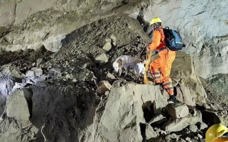 Himachal tragedy: 18 dead as landslide strikes bus in Bilaspur; many missing