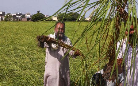 Flood-hit farmers in Maha to get Rs 31k crore