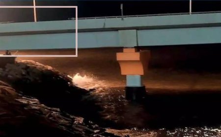 Car falls into sea, drunk driver safe