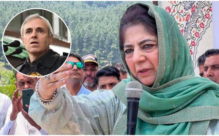 Jammu and Kashmir: Omar government failed to protect land & dignity of people, alleges Mehbooba Mufti; targets over 'no concrete policy'