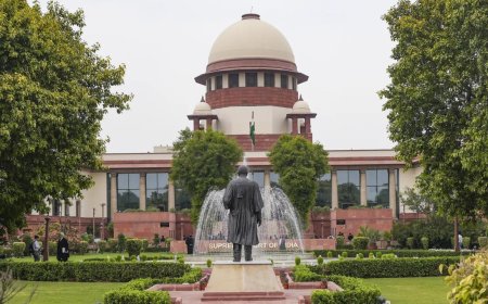 Supreme Court nixes government's plea for norms to make sentences victim-centric; calls it without merit