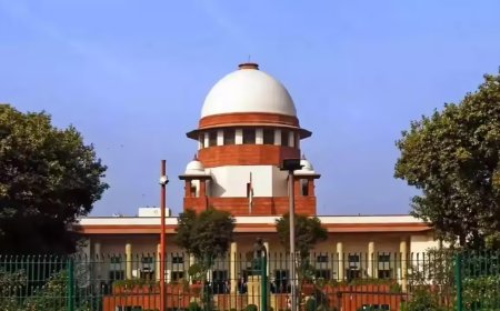 Ban use of unauthorised strobe lights, hooters, Supreme Court directs governments