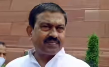 Probe if ex-minister's son tried to influence witness: Supreme Court