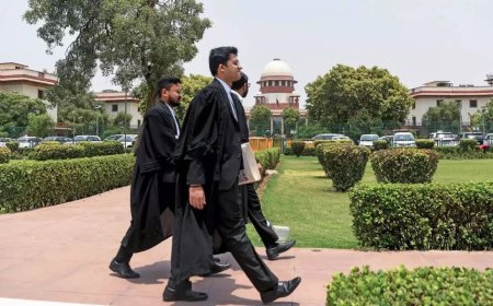 SC: There's no age bar for having kids or adoption, then why for surrogacy?