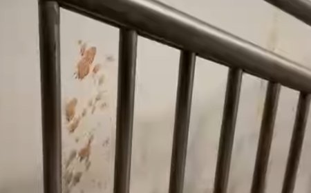 'Kuch toh sharam karlo Bihar walo': Patna metro station filled with gutka stains three days post inauguration; video viral