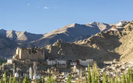 Internet services restored in Leh