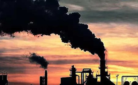 Govt notifies legally binding emission targets; cement, pulp, paper industries will need to cut GHG emissions
