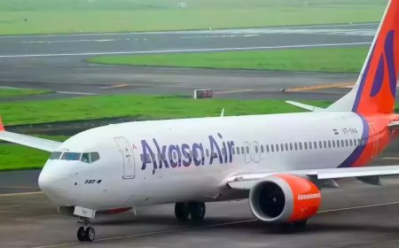 Bird strike midair: Delhi-bound Akasa Air flight lands safely; service delayed briefly, plane under inspection