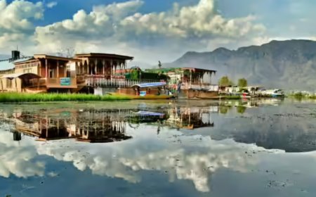 Srinagar club dusts attic, cricket history & Raj-era papers stump keepers