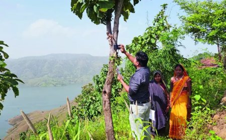 For government aid, they climb hills, tie phones to trees