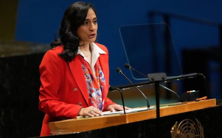 Sovereignty, rule of law paramount in Canada on public safety, India and Canada addressing each other’s security concerns: Anand